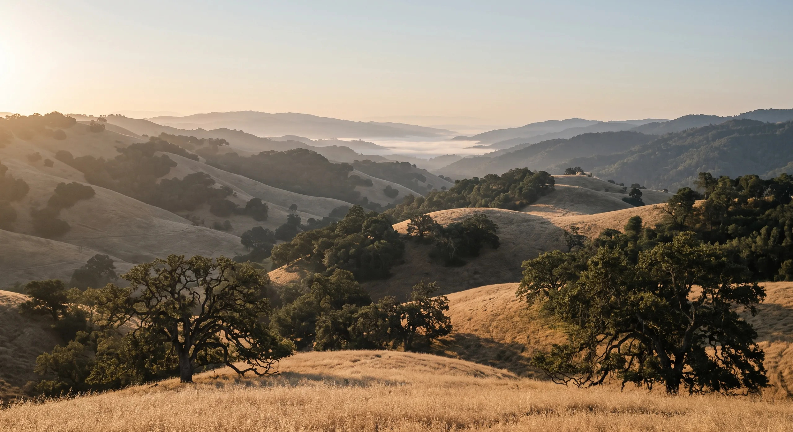The landscape in early morning
